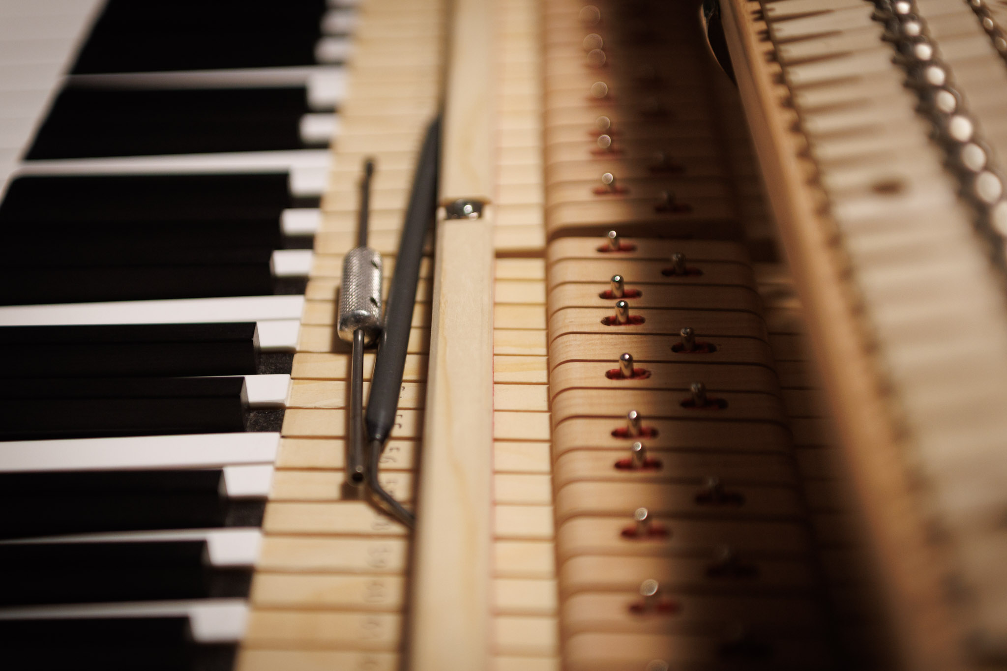 Photo: Valentin Malanetski